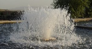 اسپلش پرورش ماهی