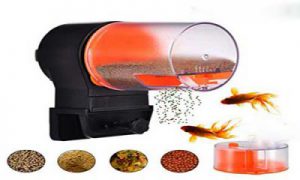 غذا ریز اتومات ماهی