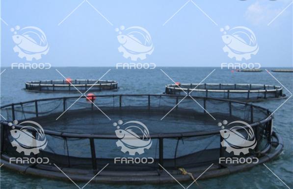 وضعیت جهانی صنعت پرورش ماهیان دریایی در قفس 