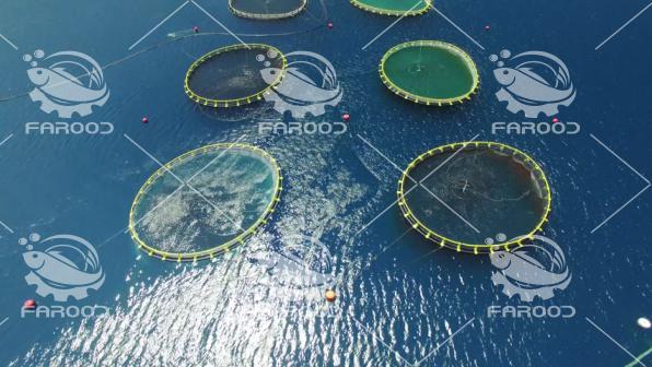 ساخت قفس پرورش ماهی با به روزترین متدهای دنیا