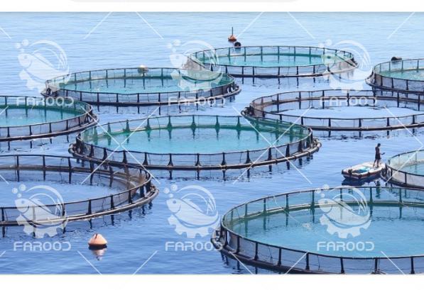 قیمت فروش قفس پرورش ماهی در دریا 