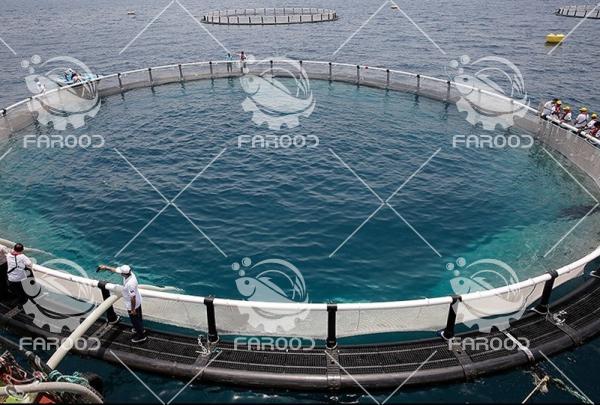 مشخصات و معرفی انواع  قفس پرورش ماهی 