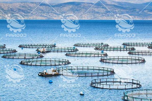 بررسی و مشخصات فنی اجزاء قفس های پرورش ماهی در دریا